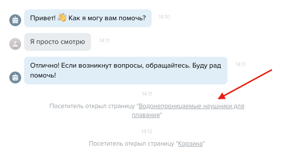 lead-generation-bots-visitor-behavior-ru Диалог с чат-ботом